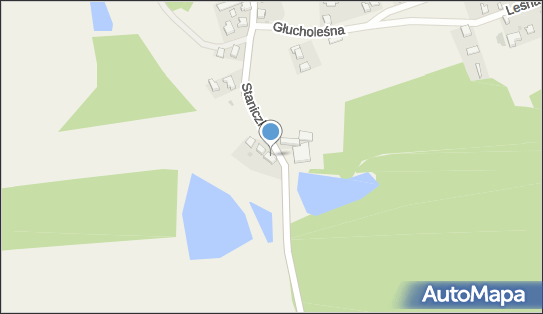 Przedsiębiorstwo Produkcyjno - Handlowo - Usługowe Drewpak Zbigniew Szołtun 69-108 - Przedsiębiorstwo, Firma, NIP: 9261019670