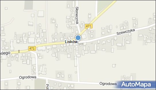 Przedsiębiorstwo Produkcyjno Handlowo Usługowe, Lisków 62-850 - Przedsiębiorstwo, Firma, NIP: 9680133821