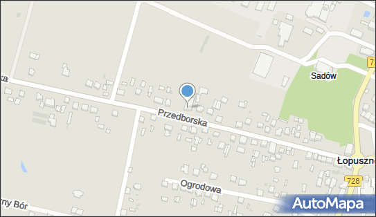 Przedsiębiorstwo Produkcyjno Handlowo Usługowe, Łopuszno 26-070 - Przedsiębiorstwo, Firma, NIP: 9591446346