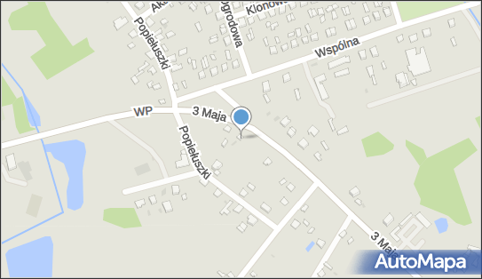 Przedsiębiorstwo Produkcyjno Usługowo Handlowe Polmur, Terespol 21-550 - Przedsiębiorstwo, Firma, numer telefonu, NIP: 5371007128