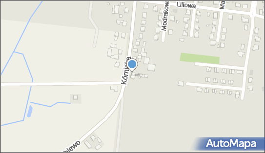 Przedsiębiorstwo Produkcyjno Usługowo Handlowe Róża, Kostrzyn 62-025 - Przedsiębiorstwo, Firma, NIP: 7772358797