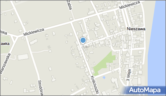 Przedsiębiorstwo Produkcyjno Usługowo Handlowe, Nieszawa 87-730 - Przedsiębiorstwo, Firma, NIP: 8911100472