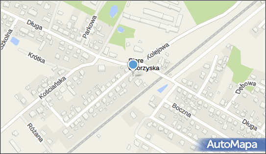 Przedsiębiorstwo Spedycyjno Transportowe Idol, ul. Torowa 3 64-000 - Przedsiębiorstwo, Firma, NIP: 6981537279