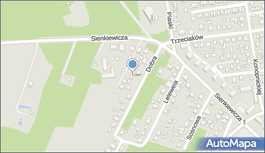 6611941479, Przedsiębiorstwo Tom-Sped Pietrzykowski Zbigniew 