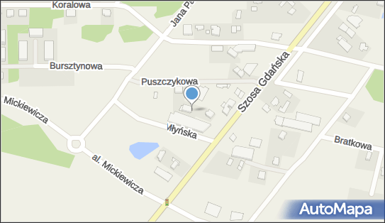 Przedsiębiorstwo Transportowo Handlowe Transwil, Szosa Gdańska 15 86-031 - Przedsiębiorstwo, Firma, numer telefonu, NIP: 5540088739