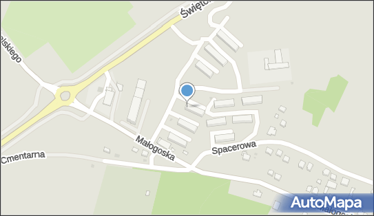 9590143744, Henryk Połaniecki Przedsiębiorstwo Transportowo-Usługowe 