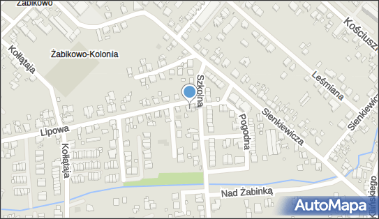 Przedsiębiorstwo Transportowo Usługowe, ul. Lipowa 1A, Luboń 62-031 - Przedsiębiorstwo, Firma, NIP: 7771152964