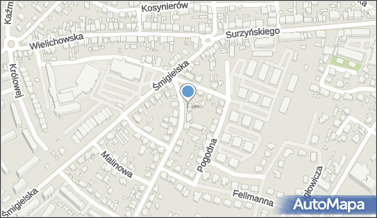 Przedsiębiorstwo Usług Geodezyjno Kartograficznych Stanisław Bresiński Mieczysław Żurczak 64-000 - Przedsiębiorstwo, Firma, numer telefonu, NIP: 6981025183