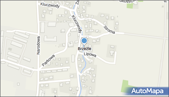 Przedsiębiorstwo Usług Transportowych, Brzezie 83, Brzezie 32-080 - Przedsiębiorstwo, Firma, NIP: 6762077990