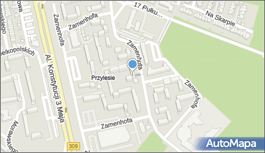Przedsiębiorstwo Usługowe Leszno, ul. Ludwika Zamenhofa 27 64-100 - Przedsiębiorstwo, Firma, NIP: 6971592928