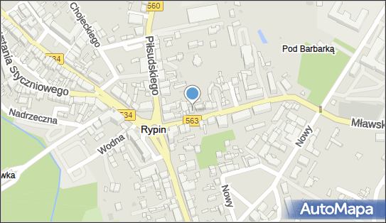 Przedsiębiorstwo Usługowe Natural Beauty, ul. Mławska 3, Rypin 87-500 - Przedsiębiorstwo, Firma, NIP: 8921428062