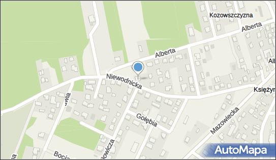 Przedsiębiorstwo Usługowo-Handlowe Auto Diagun Kamil Pieroszczuk 16-001 - Przedsiębiorstwo, Firma, NIP: 5422959638