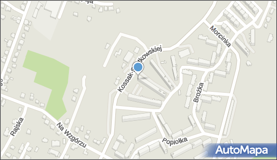 Przedsiębiorstwo Usługowo Handlowe Calvina, Cieszyn 43-400 - Przedsiębiorstwo, Firma, NIP: 5481628009