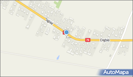 Przedsiębiorstwo Usługowo Handlowe Kurek Stanisława Kurek, Dąbie 21-400 - Przedsiębiorstwo, Firma, numer telefonu, NIP: 8251429489