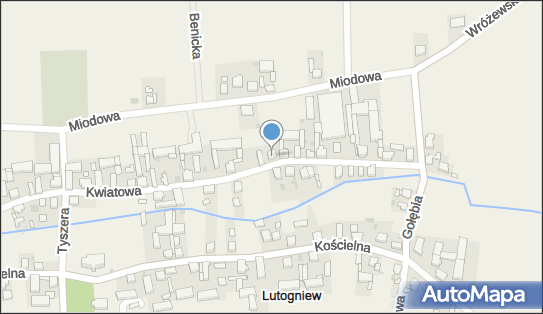 Przedsiębiorstwo Usługowo-Handlowe Michał Drygas, Lutogniew 63-700 - Przedsiębiorstwo, Firma, NIP: 6211615977