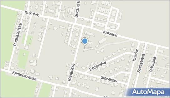 Przedsiębiorstwo Usługowo Handlowe Radian, ul. Kanarków 5 41-200 - Przedsiębiorstwo, Firma, NIP: 6291413140