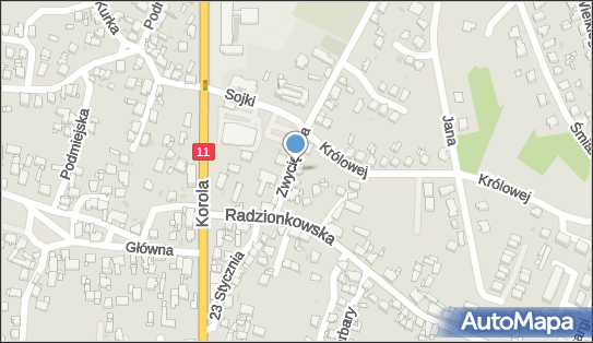 Przedsiębiorstwo Usługowo - Handlowe Trans Berg Labus Piotr 42-605 - Przedsiębiorstwo, Firma, NIP: 6451951485