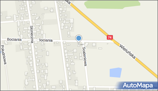 Przedsiębiorstwo Usługowo Handlowe, Scaleniowa 4, Walichnowy 98-420 - Przedsiębiorstwo, Firma, NIP: 6191007251