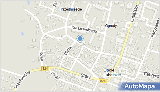 Przedsiębiorstwo Usługowo Handlowe, ul. Ogrodowa 21A 24-300 - Przedsiębiorstwo, Firma, NIP: 7171073400