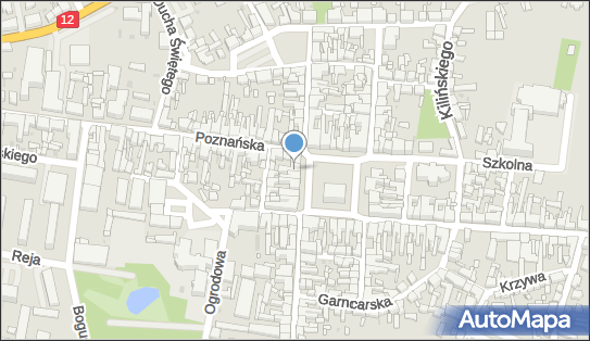 Przedsiębiorstwo Usługowo Handlowe, Rynek 23, Pleszew 63-300 - Przedsiębiorstwo, Firma, NIP: 6170254659