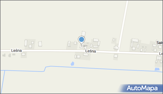 Przedsiębiorstwo Wielobranżowe Drewmet Wiesław Reim, Salnia 63-700 - Przedsiębiorstwo, Firma, NIP: 6210030996