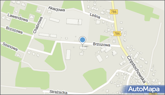 Przedsiębiorstwo Wielobranżowe Irena Zielińska, ul. Brzozowa 5 26-065 - Przedsiębiorstwo, Firma, NIP: 9591076984