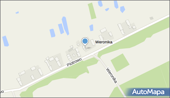 Przedsiębiorstwo Wielobranżowe Nika, Weronika 5, Weronika 89-241 - Przedsiębiorstwo, Firma, NIP: 5581463795