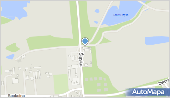 Przedsiębiorstwo Wielobranżowe Nikor Joanna Łata, ul. Śląska 85 41-103 - Przedsiębiorstwo, Firma, NIP: 6262496123