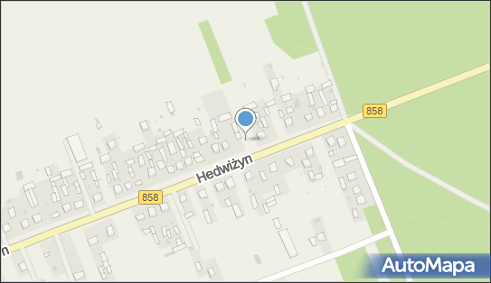 Przedsiebiorstwo Wielobranżowe Siawa - Ryszard Majewski, Hedwiżyn 23-400 - Przedsiębiorstwo, Firma, NIP: 9181000272