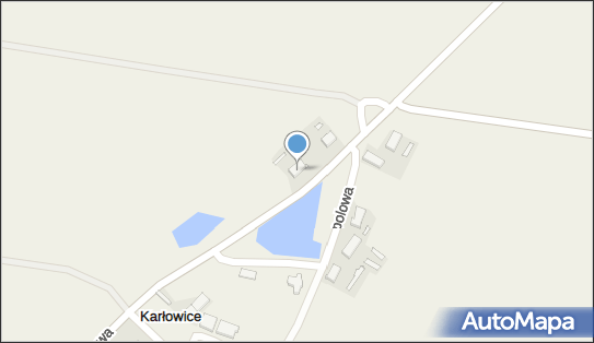 Przedsiębiorstwo Wielobranżowe Skower, Kasztanowa 1, Karłowice 62-006 - Przedsiębiorstwo, Firma, NIP: 7771606603