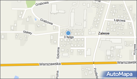 Przedsiębiorstwo Wielobranżowe Wads Trade D Sawczuk A Wakuluk 21-512 - Przedsiębiorstwo, Firma, NIP: 5372439396