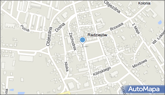Przedsiębiorstwo Wielobranżowe, Rynek 22, Radziejów 88-200 - Przedsiębiorstwo, Firma, NIP: 8891313270