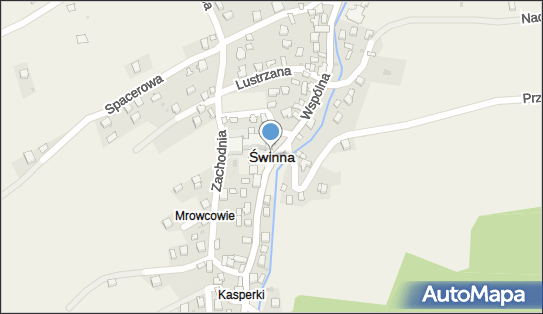 Przedsiębiorstwo Wielobranżowe, Świnna 235, Świnna 34-331 - Przedsiębiorstwo, Firma, NIP: 5531002632