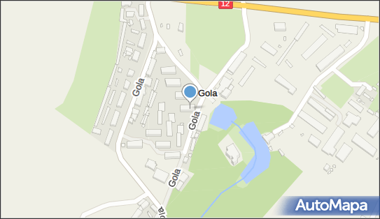 Przedsiębiorstwo Wielobranżowe, Gola 76E, Gola 63-800 - Przedsiębiorstwo, Firma, NIP: 6961819365