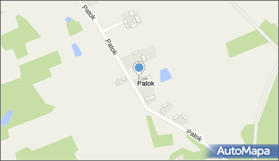 Przedstawicielstwo Handlowe Leszek Pawlak, Patok 6, Patok 97-403 - Przedsiębiorstwo, Firma, NIP: 7691786514