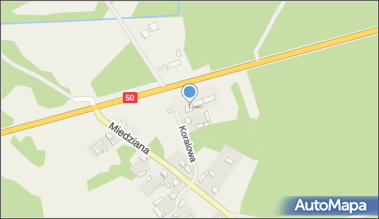 Przemysław Sawski, Tabor 1A, Tabor 05-430 - Przedsiębiorstwo, Firma, NIP: 7381408597