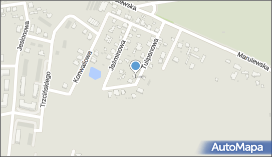 Przemysław Wojtasik Taxi, Tulipanowa 14, Inowrocław 88-100 - Przedsiębiorstwo, Firma, numer telefonu, NIP: 6181203051