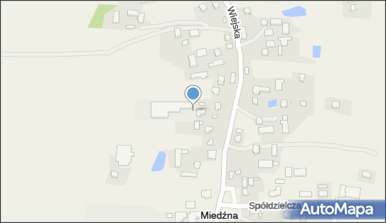 Przetwórstwo Mięsne Kloc, Wiejska 51, Miedźna 43-227 - Przedsiębiorstwo, Firma, numer telefonu, NIP: 6381804884