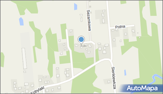 Przetwórstwo Owoców i Warzyw Wyrób Drożdży Winiarskich Alicja Drezno 26-085 - Przedsiębiorstwo, Firma, NIP: 9590964903