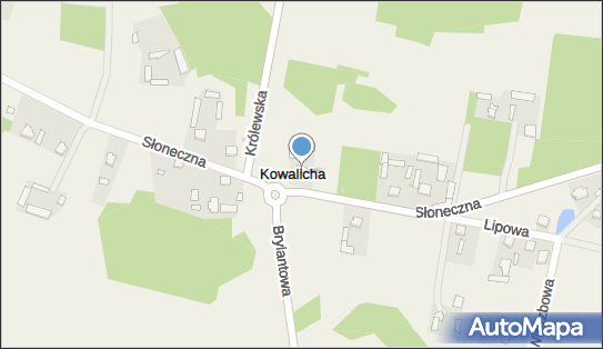 Przewóz Autokarowy Wioletta Korzeniewska, Słoneczna 16, Kowalicha 05-252 - Przedsiębiorstwo, Firma, NIP: 1250984104