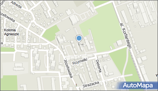 Przewóz Ładunków, ul. Mieczysława Karłowicza 15B, Katowice 40-145 - Przedsiębiorstwo, Firma, NIP: 6342145182