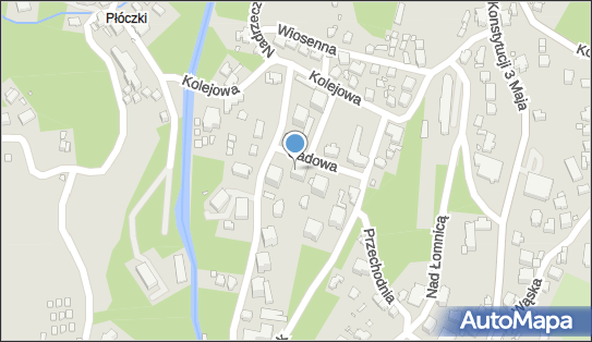 Przewóz Osób Samochodem Osobowym /Taxi Osobowe/ Stanisław Burniak 58-540 - Przedsiębiorstwo, Firma, NIP: 6111039847