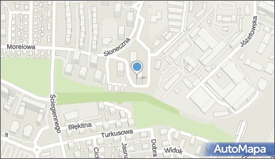 Przewóz Osób Taksówka, Słoneczna 76, Katowice 40-136 - Przedsiębiorstwo, Firma, NIP: 6341291504