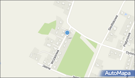 Przewóz Osób Taxi, ul. Wczasowa 3, Przyłęki 86-005 - Przedsiębiorstwo, Firma, NIP: 5541050383