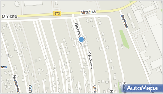 Przewóz Towarów Jacek Witek, ul. Grochowa 28, Tarnów 33-102 - Przedsiębiorstwo, Firma, NIP: 8731155365