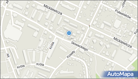 8641331232, Przewóz Towarów Korona Leszek 