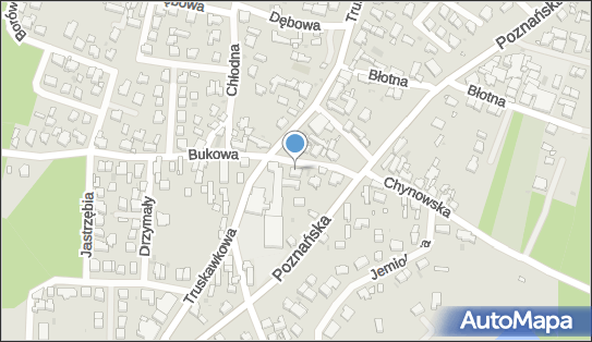 Przewozowe Transrys, Bukowa 3, Zielona Góra 65-122 - Przedsiębiorstwo, Firma, numer telefonu, NIP: 9291293447