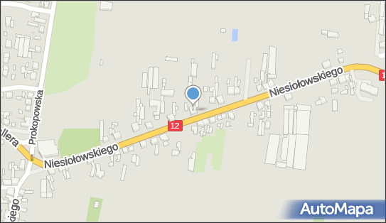 Przewozy Autokarowe Krajowe i Zagraniczne H.R.Gaedig - Bus Henryk Gaedig 63-300 - Przedsiębiorstwo, Firma, NIP: 6171020171