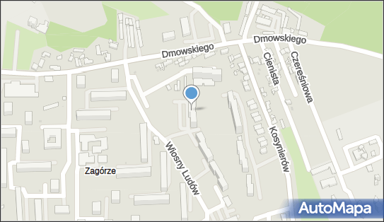Przewozy Osobowe, ul. Romana Dmowskiego 54a, Sosnowiec 41-219 - Przedsiębiorstwo, Firma, NIP: 6441184386