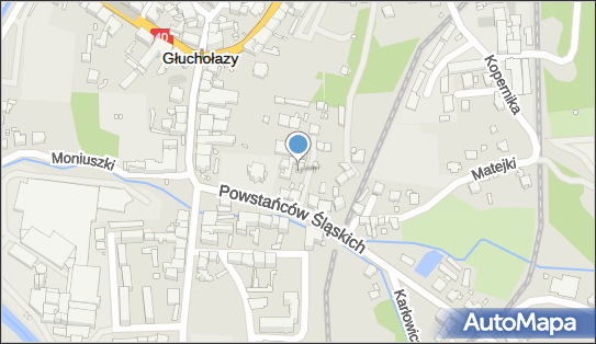 7532001794, Przychodnia Dla Zwierząt Caniwet Orzeł-Kaczyńska G.Kohut P. 